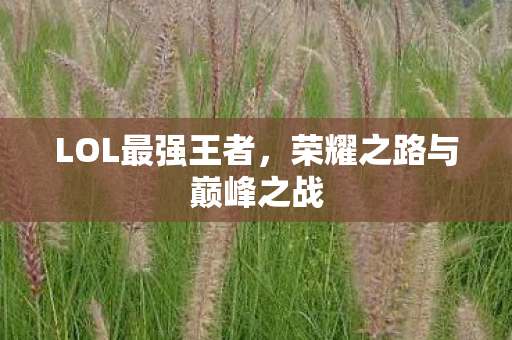 荣耀之路与巅峰之战图片