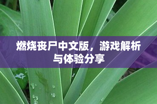 游戏解析与体验分享图片