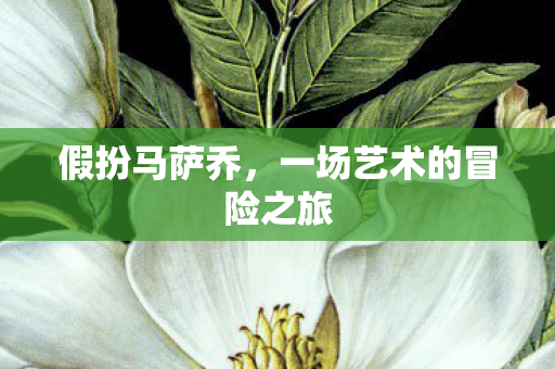 一场艺术的冒险之旅图片