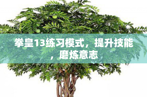 拳皇13练习模式图片