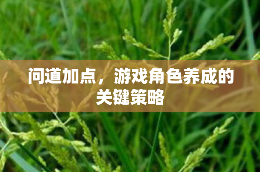 游戏角色养成的关键策略图片