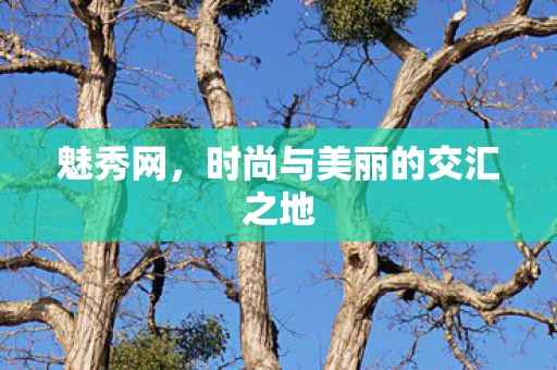时尚与美丽的交汇之地图片