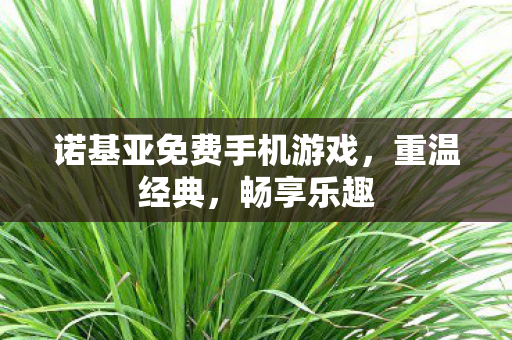 诺基亚免费手机游戏图片