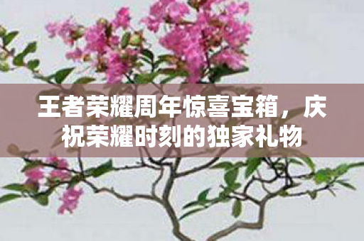 庆祝荣耀时刻的独家礼物图片