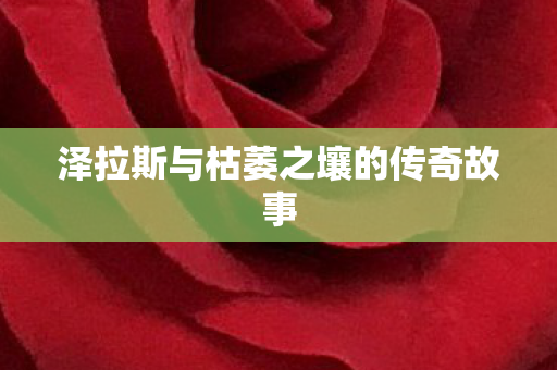 泽拉斯与枯萎之壤的传奇故事图片