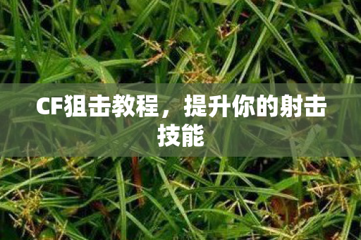 提升你的射击技能图片