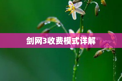 剑网3收费模式详解图片