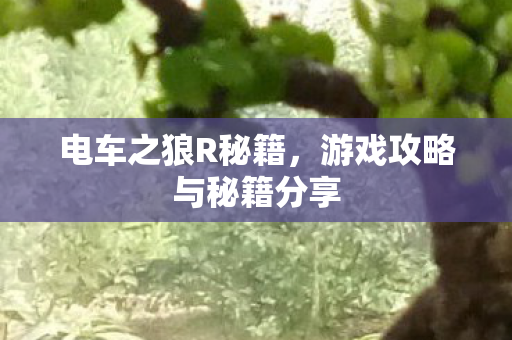 游戏攻略与秘籍分享图片