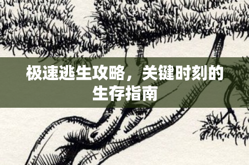 关键时刻的生存指南图片