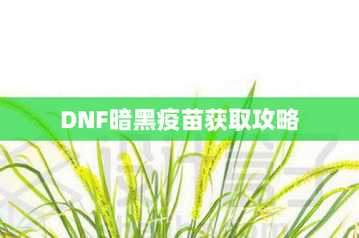DNF暗黑疫苗获取攻略图片