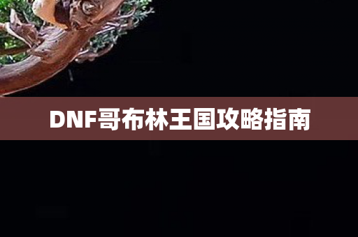 DNF哥布林王国攻略指南图片
