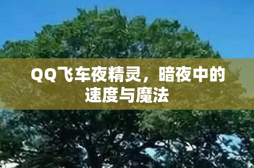 暗夜中的速度与魔法图片