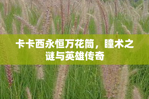 瞳术之谜与英雄传奇图片