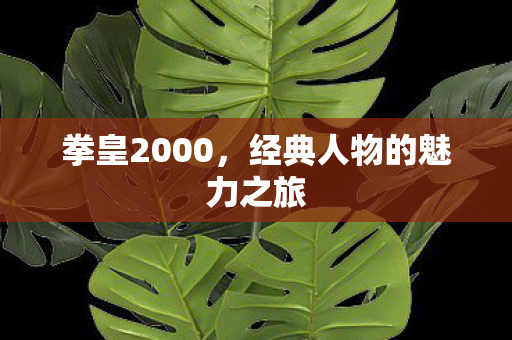 经典人物的魅力之旅图片