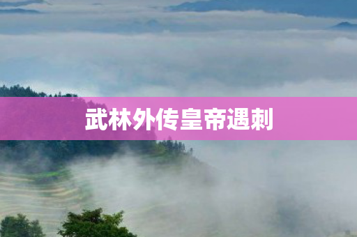 武林外传皇帝遇刺图片