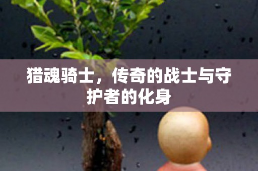 传奇的战士与守护者的化身图片