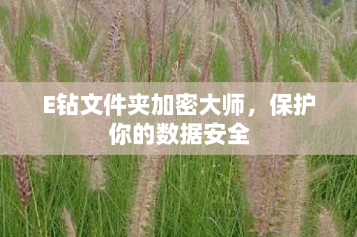 E钻文件夹加密大师图片