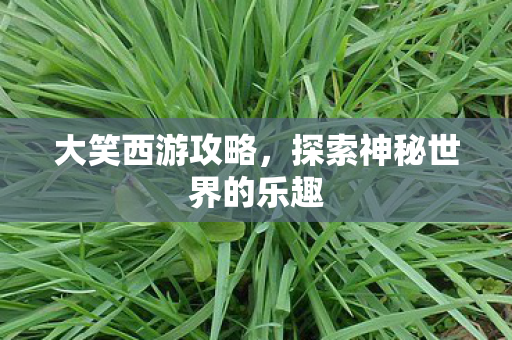 探索神秘世界的乐趣图片
