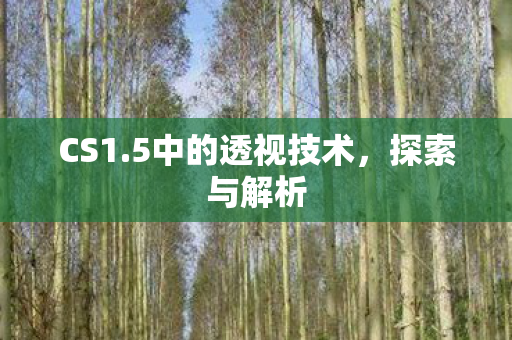 CS1.5中的透视技术,探索与解析 CS1.5中的透视技术,探索与解析