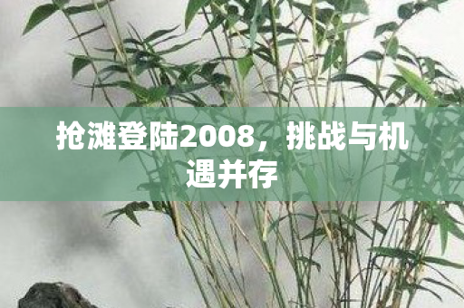 抢滩登陆2008,挑战与机遇并存 抢滩登陆2008,挑战与机遇并存