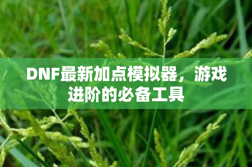 DNF最新加点模拟器,游戏进阶的必备工具 DNF最新加点模拟器,游戏进阶的必备工具