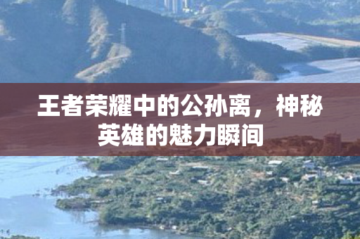 王者荣耀中的公孙离图片