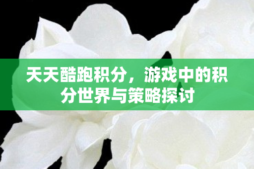 游戏中的积分世界与策略探讨图片
