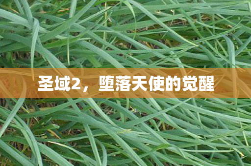 堕落天使的觉醒图片