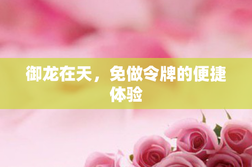 免做令牌的便捷体验图片