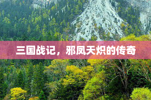 邪凤天炽的传奇图片