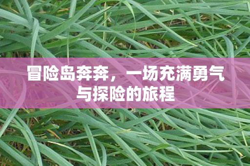 一场充满勇气与探险的旅程图片