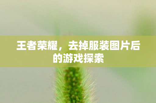 去掉服装图片后的游戏探索图片
