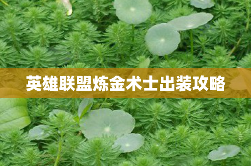 英雄联盟炼金术士出装攻略图片