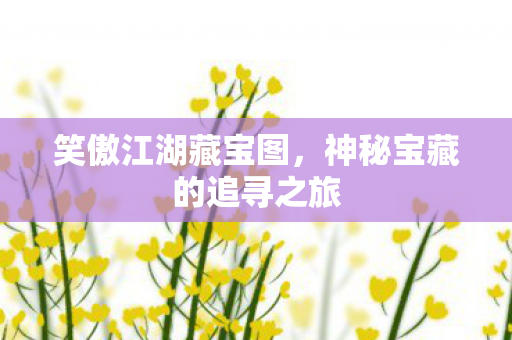 神秘宝藏的追寻之旅图片