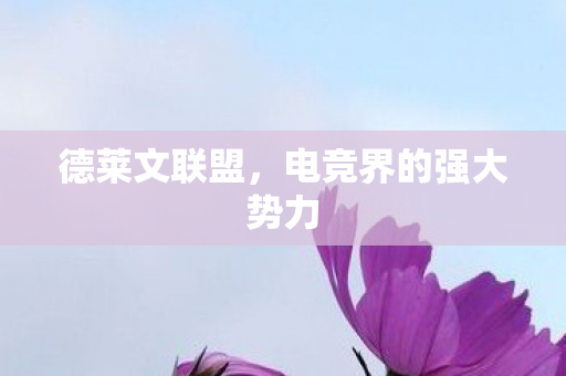电竞界的强大势力图片