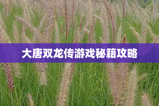 大唐双龙传游戏秘籍攻略图片