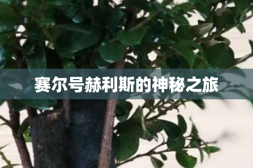 赛尔号赫利斯的神秘之旅图片