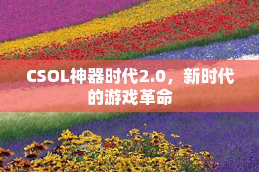 CSOL神器时代2图片