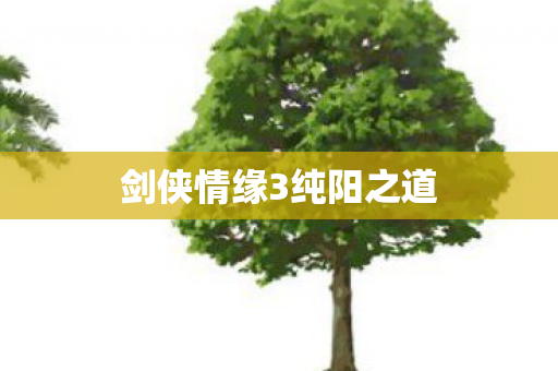 剑侠情缘3纯阳之道图片