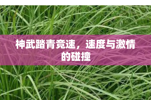 速度与激情的碰撞图片