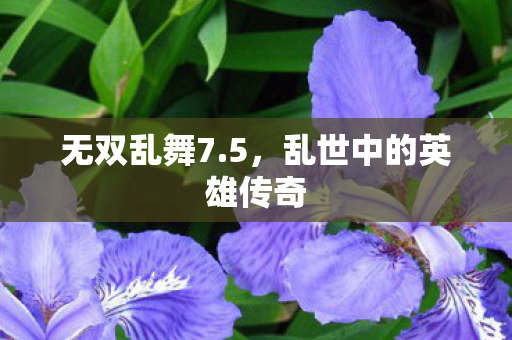乱世中的英雄传奇图片