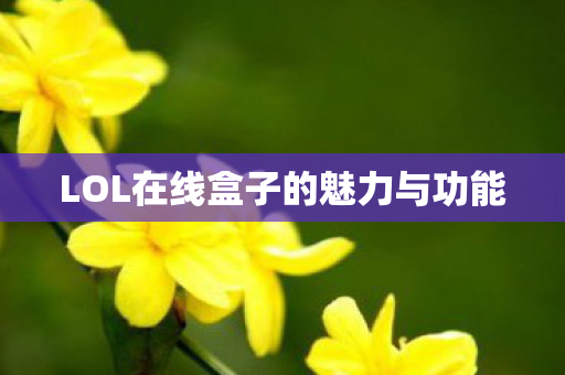 LOL在线盒子的魅力与功能图片