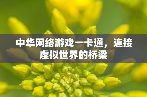 中华网络游戏一卡通图片