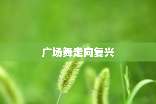 广场舞走向复兴图片