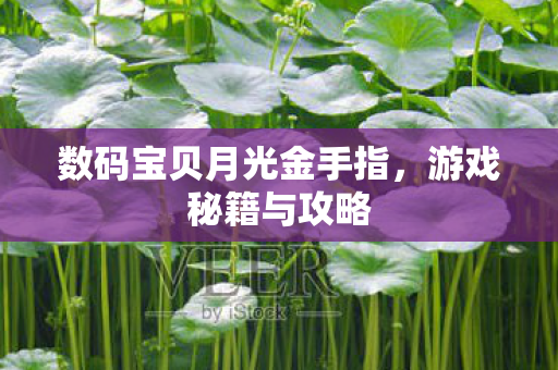 数码宝贝月光金手指图片
