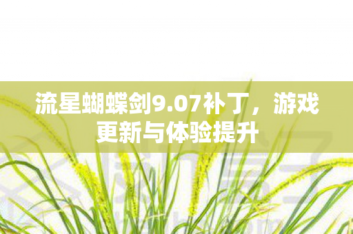 游戏更新与体验提升图片