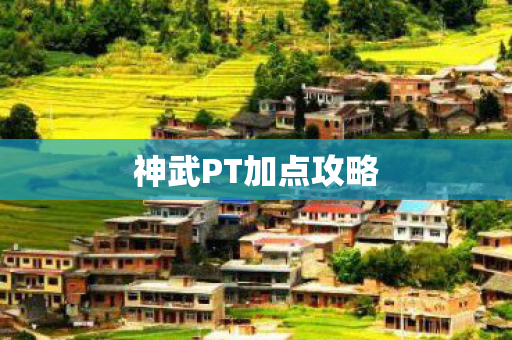 神武PT加点攻略图片