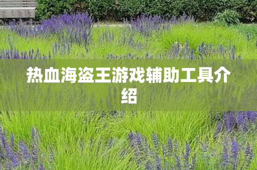 热血海盗王游戏辅助工具介绍图片