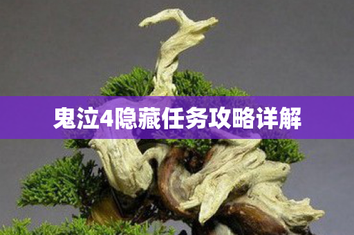 鬼泣4隐藏任务攻略详解图片