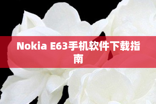 Nokia E63手机软件下载指南图片